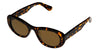 CUT 124 TORT / BROWN